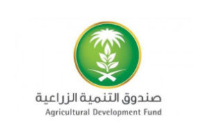 Training and Consulting in United Arab Emirates